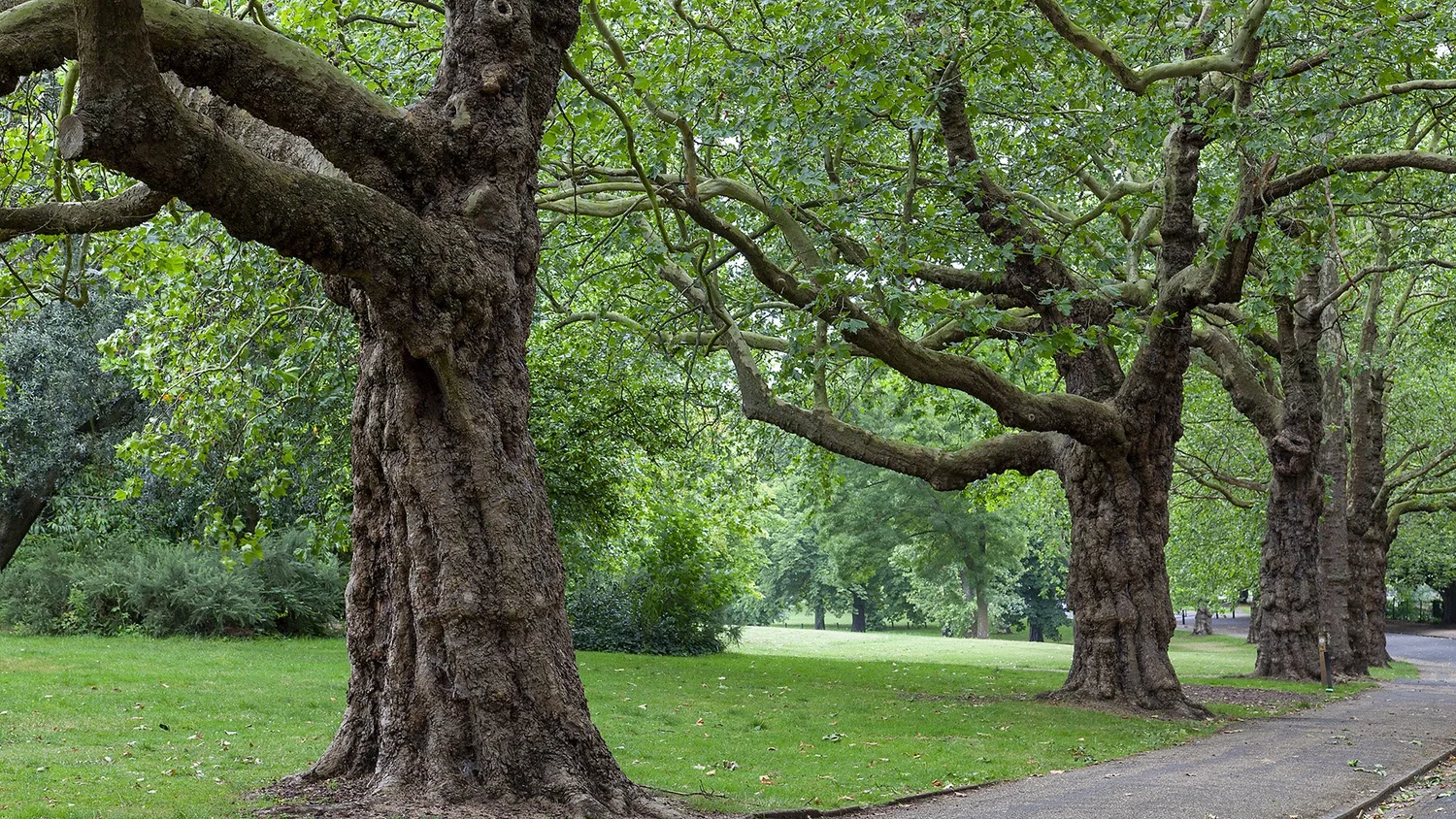 Walking and speaking Spanish in London